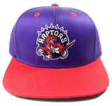 Adidas NBA Team Color Mascot Logo Snapback