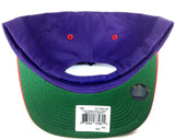 Adidas NBA Team Color Mascot Logo Snapback